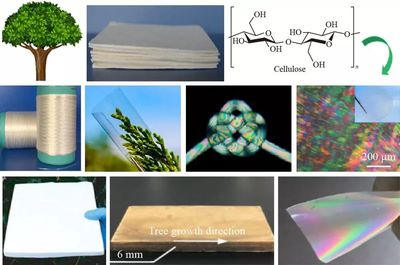 武汉大学张俐娜院士课题组综述:可持续高分子-纤维素新材料研究进展
