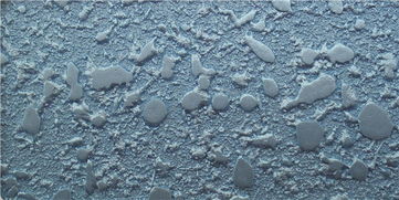 山东优质弹性涂料推荐 新材料带来更优性能与优惠选择